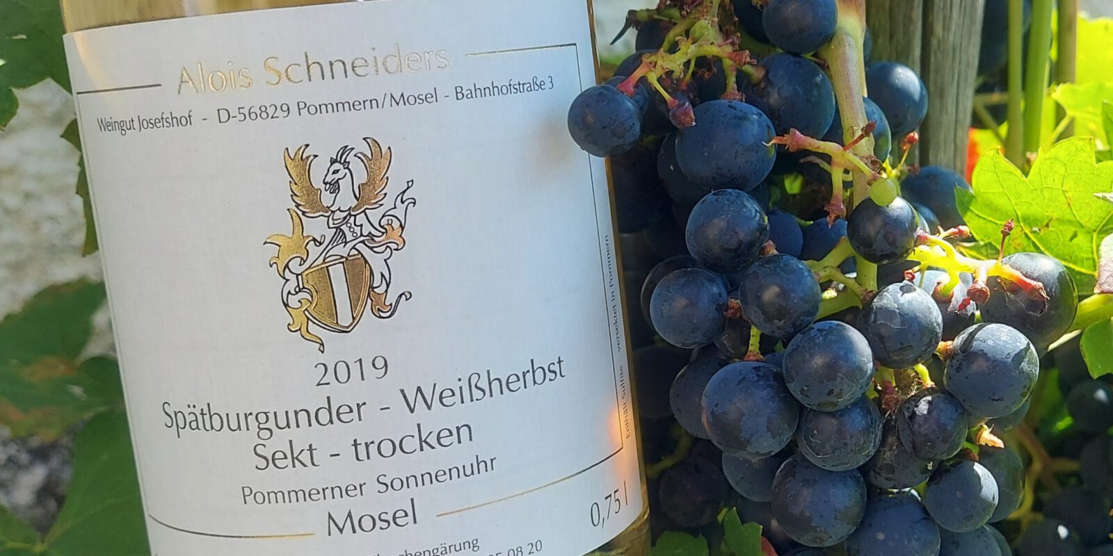 Weingut Pommern/Mosel Schneiders Josefshof